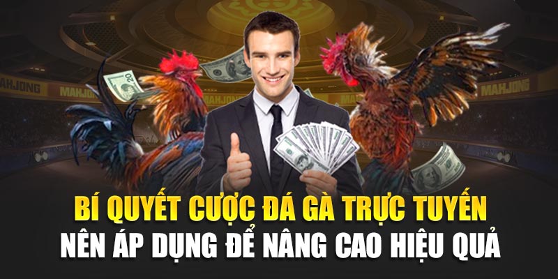 Cược Đá Gà Trực Tuyến 188BET – Tốc Độ Cao, Thưởng Liên Tiếp 2 Bí quyết cược đá gà trực tuyến 188BET cần nắm để nâng cao hiệu quả