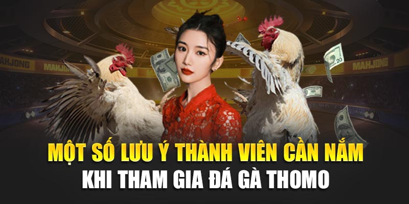 Đá Gà Thomo 188BET – Đấu Trường Rực Lửa, Cược Hấp Dẫn 3 Một số lưu ý thành viên cần nắm khi tham gia đá gà thomo tại 188BET