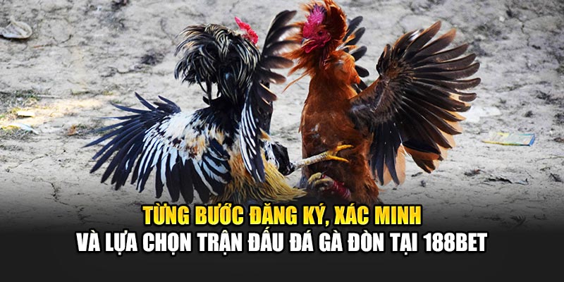 Trải Nghiệm Đá Gà Đòn Đỉnh Cao Tại Nhà Cái 188Bet Uy Tín 2 Từng bước đăng ký, xác minh và lựa chọn trận đấu đá gà đòn tại 188Bet