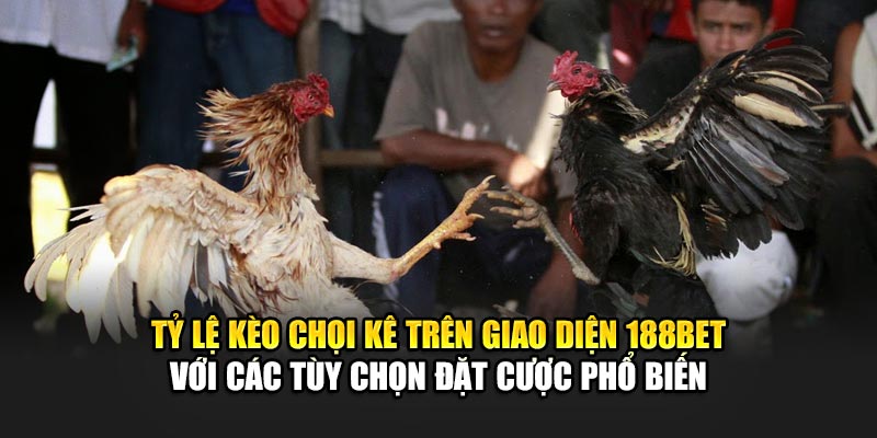 Thuật Ngữ Đá Gà Phổ Biến Tại Nhà Cái 188Bet Bạn Nên Biết 2 Tỷ lệ kèo chọi kê trên giao diện 188Bet với các tùy chọn đặt cược phổ biến
